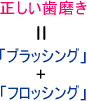 正しい歯磨き＝ブラッシング+フロッシング