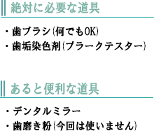 絶対に必要な道具：歯ブラシ、歯垢染色剤(プラークテスター)　あると便利な道具：デンタルミラー、歯磨き粉(今回は使いません)