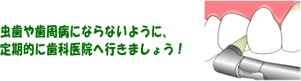 虫歯や歯周病にならないように、定期的に歯科医院へ行きましょう！