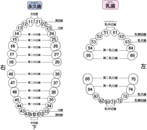 FDI方式(Two-digit system)
