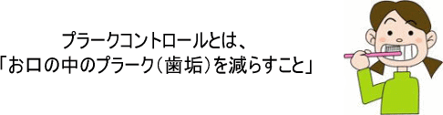 プラークコントロールとは、お口の中のプラーク(歯垢)を減らすこと